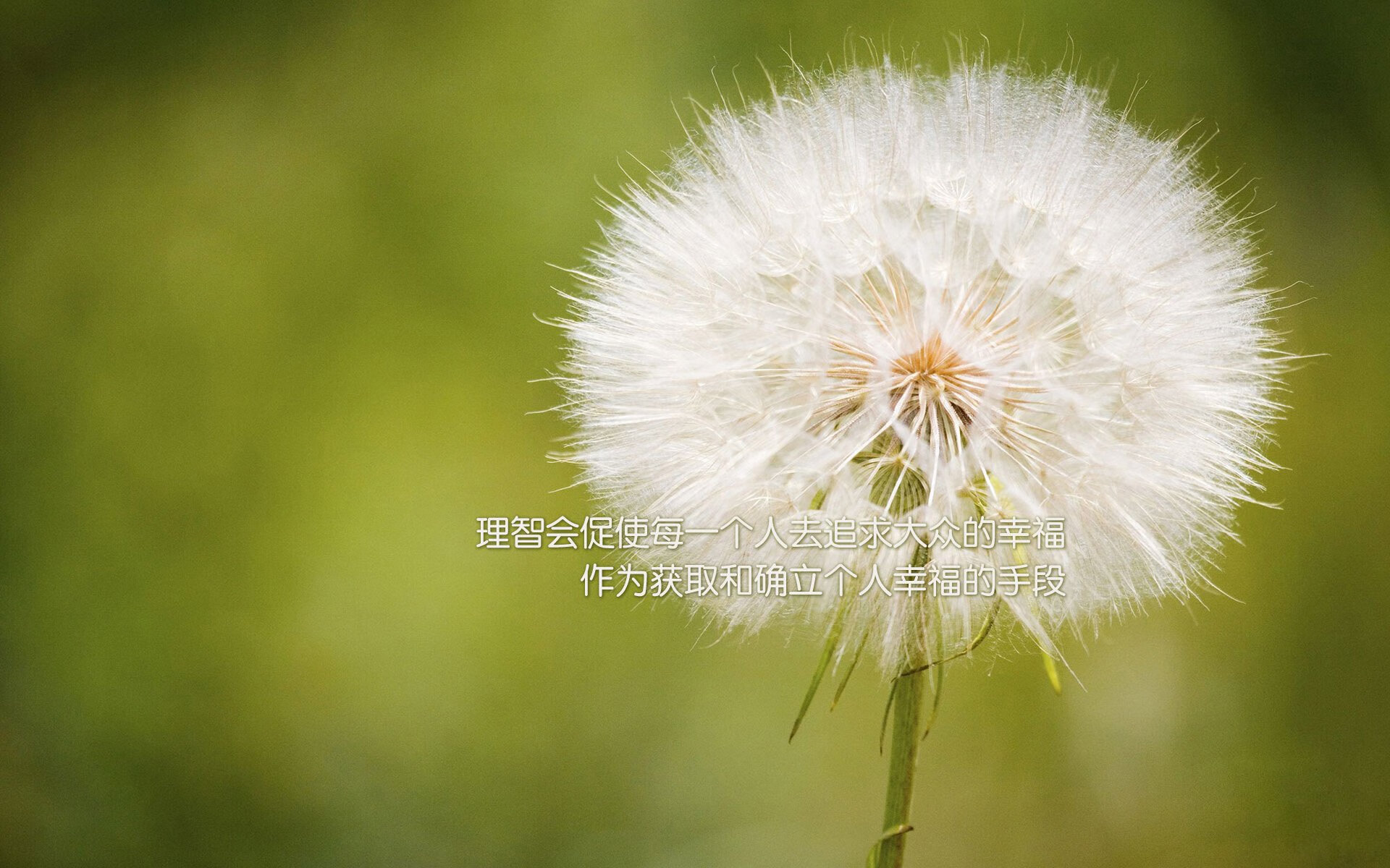 2201铁矿石期货行情（铁矿石期货现货价格）